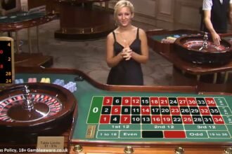 Top Slot Games You Must Try